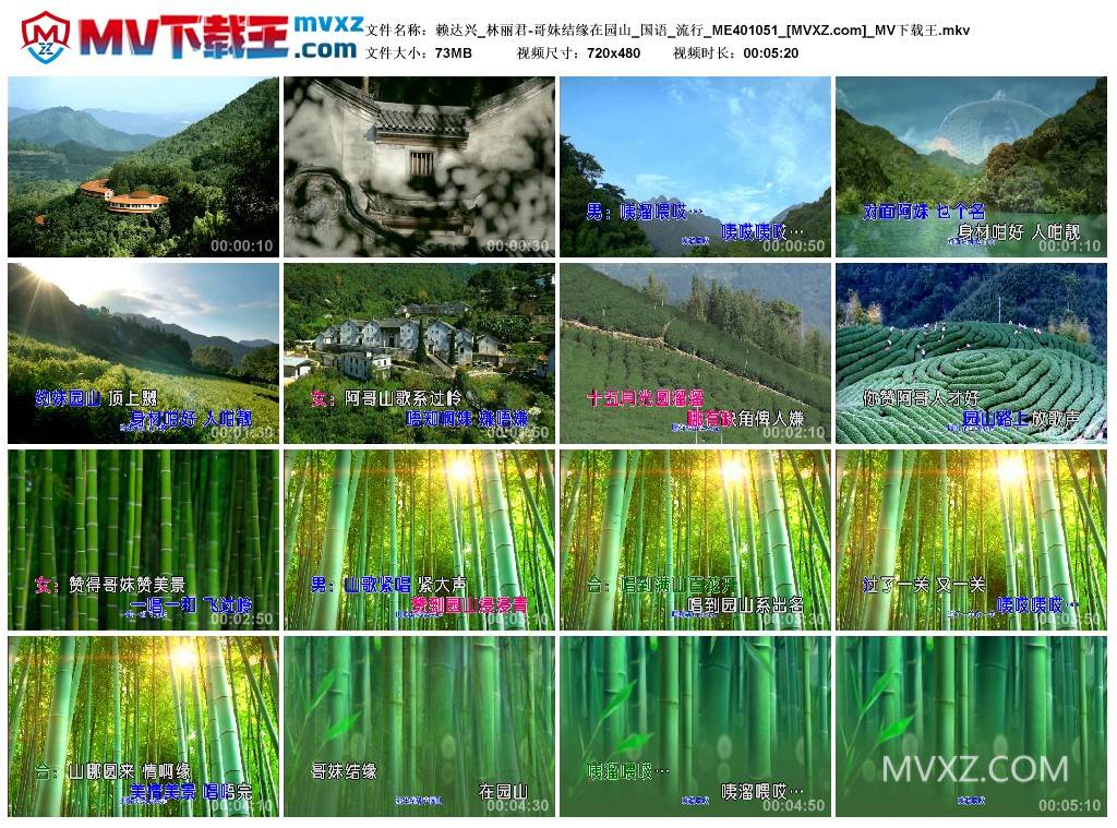赖达兴_林丽君-哥妹结缘在园山_国语_流行_ME401051